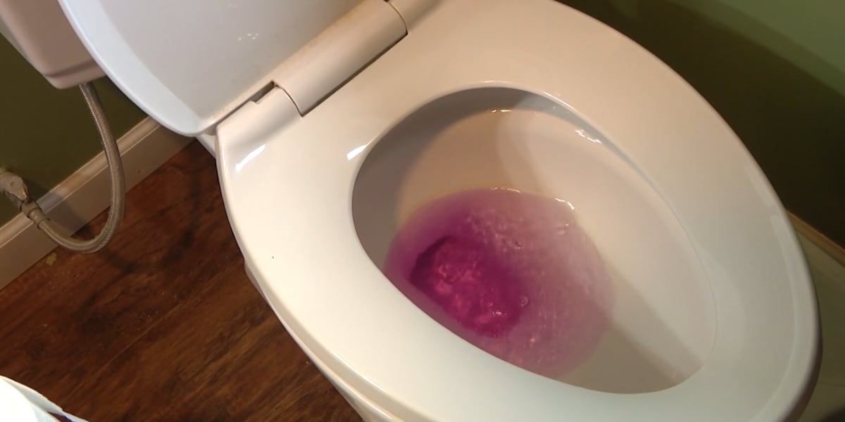 Why Is My Toilet Water Pink? The Shocking Truth Revealed