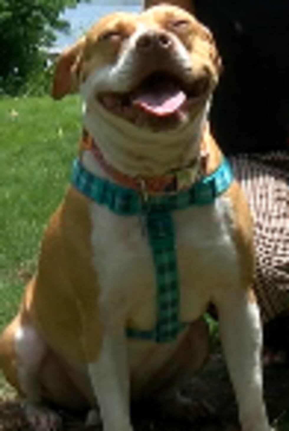 Prim (Source: WTVM)