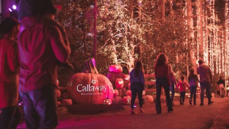 Callaway Gardens Pumpkin Festival 2025: Unforgettable Fun 1 Callaway Gardens Pumpkin Festival 2025: Unforgettable Fun