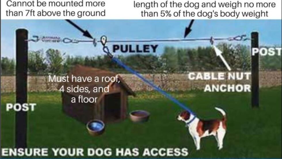 (Source: Animal SOS)