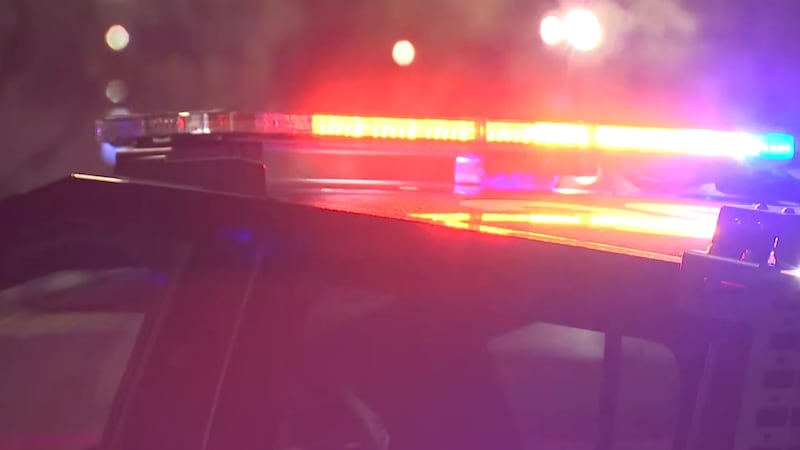 Pedestrian struck on Flamingo Road, suffers life-threatening injuries